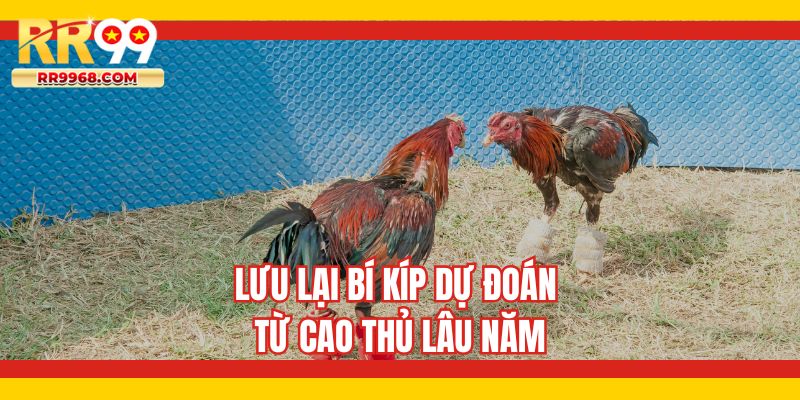 Lưu lại bí kíp dự đoán từ cao thủ lâu năm