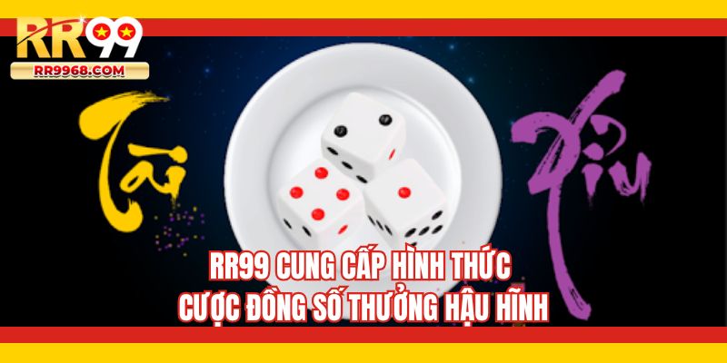 RR99 cung cấp hình thức cược đồng số thưởng hậu hĩnh